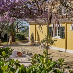Отель Villa Almeira Zakynthos Греция, Закинф - отзывы, цены и фото номеров - забронировать отель Villa Almeira Zakynthos онлайн фото 8