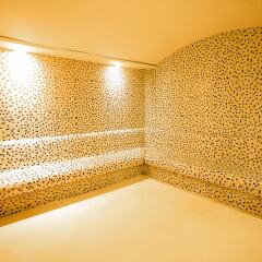 Отель Ramada Plaza Istanbul Asia Airport сауна