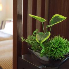 Tokyo Bay Maihama Hotel удобства в номере
