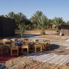 Отель Auberge Sahara Garden Марокко, Мерзуга - отзывы, цены и фото номеров - забронировать отель Auberge Sahara Garden онлайн фото 5