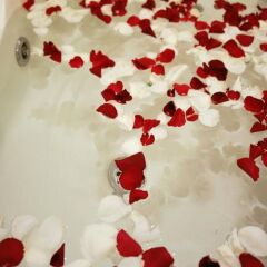 Jasmine Hotel Hue ванная фото 2