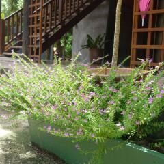 Отель Roythai Resort Таиланд, Краби - отзывы, цены и фото номеров - забронировать отель Roythai Resort онлайн фото 2