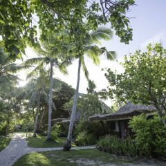 Отель Castaway Island Fiji фото 13
