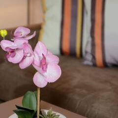 Отель Odalys - Appart'Hotel Les Félibriges Франция, Канны - отзывы, цены и фото номеров - забронировать отель Odalys - Appart'Hotel Les Félibriges онлайн спа