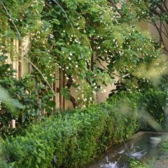 Отель Hofgärtnerhaus Германия, Дрезден - отзывы, цены и фото номеров - забронировать отель Hofgärtnerhaus онлайн фото 11
