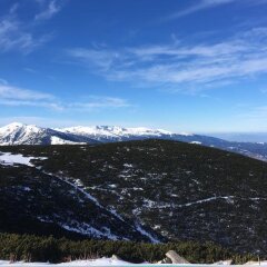 Отель Dragushinovo Boutique Chalet Hotel Болгария, Боровец - отзывы, цены и фото номеров - забронировать отель Dragushinovo Boutique Chalet Hotel онлайн фото 13