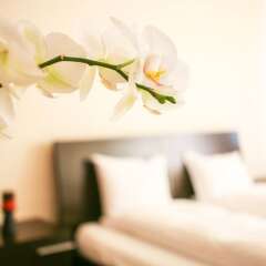The Lodge Hotel Боровец интерьер отеля фото 3
