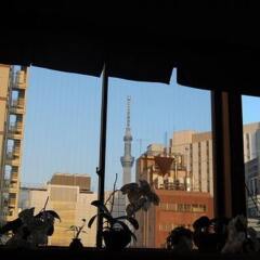 Отель Khaosan Tokyo Samurai Япония, Токио - отзывы, цены и фото номеров - забронировать отель Khaosan Tokyo Samurai онлайн комната для гостей фото 3