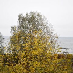 Гостиница Янтарный Сезон фото 3