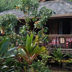 Отель Moorea Surf Bed and Breakfast фото 4