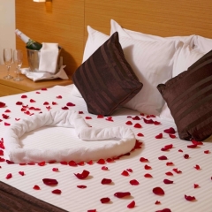 Best Western Plus The President Hotel в номере фото 2
