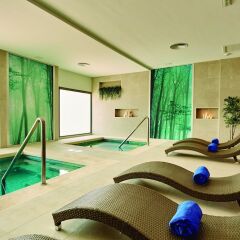 Отель RIU Palace Punta Cana All Inclusive Доминикана, Пунта Кана - 9 отзывов об отеле, цены и фото номеров - забронировать отель RIU Palace Punta Cana All Inclusive онлайн фото 2