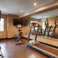 Отель Best Western Maple Ridge Hotel Канада, Мэйпл-Ридж - отзывы, цены и фото номеров - забронировать отель Best Western Maple Ridge Hotel онлайн фитнесс-зал фото 4