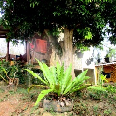 Отель Asama Bungalow Ланта фото 4