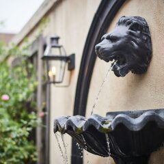 Отель French Quarter Inn с домашними животными