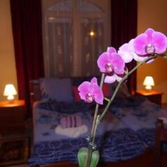 Отель Guest House Vila Lord Сербия, Нови Сад - отзывы, цены и фото номеров - забронировать отель Guest House Vila Lord онлайн