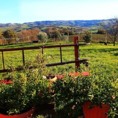 Отель B&B Aesis La Dolce Collina Джези