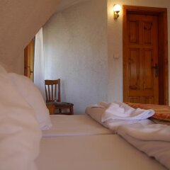 Отель Family Hotel Silver Болгария, Смолян - отзывы, цены и фото номеров - забронировать отель Family Hotel Silver онлайн детские мероприятия
