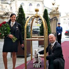 Отель Taschenbergpalais Kempinski Германия, Дрезден - 6 отзывов об отеле, цены и фото номеров - забронировать отель Taschenbergpalais Kempinski онлайн с домашними животными
