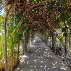 Отель Holiday Villa Ланта фото 11
