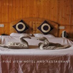 Отель Pineview Hotel Индия, Гульмарг - отзывы, цены и фото номеров - забронировать отель Pineview Hotel онлайн сауна