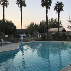Отель 99 Palms Inn & Suites бассейн фото 3
