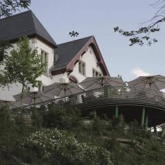 Отель Sorell Aparthotel Rigiblick Цюрих фото 2
