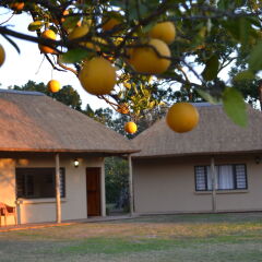 Отель Chrislin African Lodge