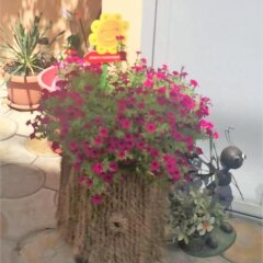Гостиница Guest house on Terskaya 139 в Анапе отзывы, цены и фото номеров - забронировать гостиницу Guest house on Terskaya 139 онлайн Анапа интерьер отеля
