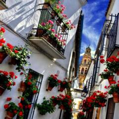 Los Omeyas Hotel