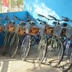 Отель An Bang Beach Dolphin Homestay Hoi An спортивное сооружение