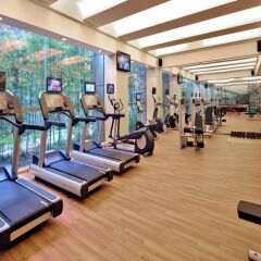 Grand Skylight International Hotel Shenzhen Guanlan Avenue фитнесс-зал