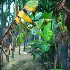 Отель Home Farm Villa Hoi An спортивное сооружение