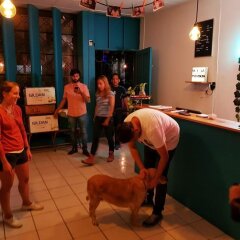 Blue Pepper Hostel Chapultepec Гвадалахара интерьер отеля
