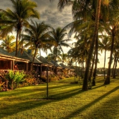 Отель Club Fiji Resort Фиджи, Вити-Леву - отзывы, цены и фото номеров - забронировать отель Club Fiji Resort онлайн фото 5