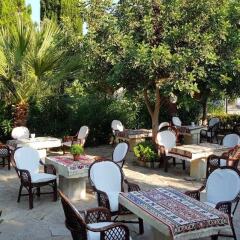 Medusa House Hotel Турция, Алтинкум - отзывы, цены и фото номеров - забронировать отель Medusa House Hotel онлайн питание фото 3