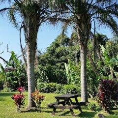 Отель Cottage HANA MANA Япония, Якусима - отзывы, цены и фото номеров - забронировать отель Cottage HANA MANA онлайн фитнесс-зал