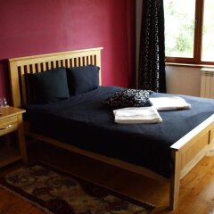 Отель Dragushinovo Boutique Chalet Hotel Болгария, Боровец - отзывы, цены и фото номеров - забронировать отель Dragushinovo Boutique Chalet Hotel онлайн фото 4