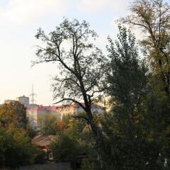 Гостиница Жилые помещения БританиЯ в Уфе 13 отзывов об отеле, цены и фото номеров - забронировать гостиницу Жилые помещения БританиЯ онлайн Уфа фото 10