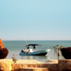 Отель Holbox Dream Beach Front Hotel by Xperience Hotels Мексика, Остров Ольбокс - отзывы, цены и фото номеров - забронировать отель Holbox Dream Beach Front Hotel by Xperience Hotels онлайн приотельная территория
