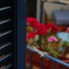Dioskouros Hostel интерьер отеля