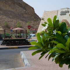 Отель Green Mubazzarah Chalets ОАЭ, Эль-Айн - отзывы, цены и фото номеров - забронировать отель Green Mubazzarah Chalets онлайн фото 12