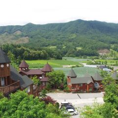 Отель KOREA QUALITY Elf Spa Resort Hotel Южная Корея, Пхёнчан - отзывы, цены и фото номеров - забронировать отель KOREA QUALITY Elf Spa Resort Hotel онлайн фото 7