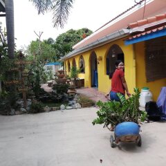 Отель Pennys Home Stay Resort развлечения
