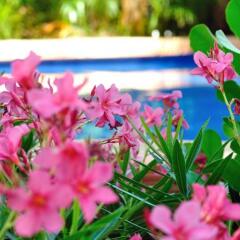 Отель La Pasion Hotel Boutique Мексика, Плая-дель-Кармен - отзывы, цены и фото номеров - забронировать отель La Pasion Hotel Boutique онлайн приотельная территория