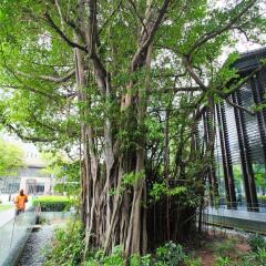 Days Hotel by Wyndham Singapore At Zhongshan Park фото 4