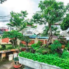 Отель An Nhien Villa Далат фото 6