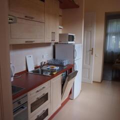 Отель Lira Apartments Чехия, Карловы Вары - отзывы, цены и фото номеров - забронировать отель Lira Apartments онлайн в номере фото 2