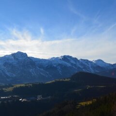 Отель Möselberghof Австрия, Абтенау - отзывы, цены и фото номеров - забронировать отель Möselberghof онлайн фото 3