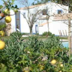 Отель Quinta Do Mel Португалия, Албуфейра - отзывы, цены и фото номеров - забронировать отель Quinta Do Mel онлайн фото 3